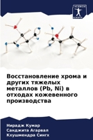 ?????????????? ????? ? ?????? ??????? ???????? (Pb, Ni) ? ??????? ??????????? ???????????? (Russian Edition) 6207577582 Book Cover