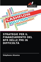 Strategie Per Il Finanziamento del Bfr Delle PMI in Difficoltà 620361436X Book Cover
