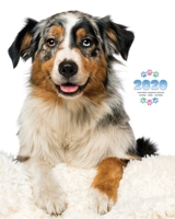 2020 Australian Shepherd Planner - Weekly - Daily - Monthly 1642526444 Book Cover