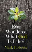 Ever Wondered What God Is Like? 1543745725 Book Cover