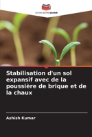 Stabilisation d'un sol expansif avec de la poussière de brique et de la chaux (French Edition) 6208387841 Book Cover
