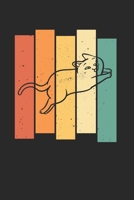 Katze K�tzchen Notizbuch: Katze K�tzchen Notizbuch f�r Liebhaber / Notizheft / Notizblock A5 (6x9in) Dotted Notebook / Punkteraster / 120 gepunktete Seiten 1673793762 Book Cover