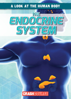 The Endocrine System 1538266156 Book Cover