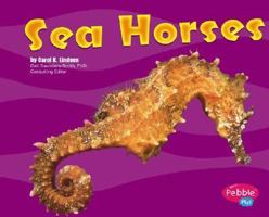 Sea Horses 0736836624 Book Cover