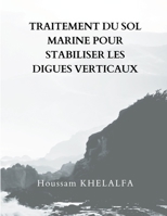 Traitement Du Sol Marine Pour Stabiliser Les Digues Verticaux 1096201135 Book Cover