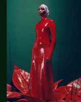 Feeling Seen: The Photographs of Campbell Addy 3791388460 Book Cover