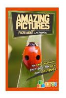 Amazing Pictures and Facts about Ladybugs: The Most Amazing Fact Book for Kids about Ladybugs 1541161718 Book Cover