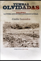 Tumbas Olvidadas: Gallípoli. La tumba que muchos quisieron olvidar (Spanish Edition) B08C97X49Z Book Cover