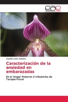 Caracterización de la ansiedad en embarazadas 6203032069 Book Cover