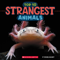 Top Ten Strangest Animals (Wild World) B0GN2LHZVZ Book Cover
