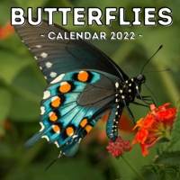 Butterflies Calendar 2022: 16-Month Calendar, Cute Gift Idea For Butterfly Lovers Women & Men null Book Cover