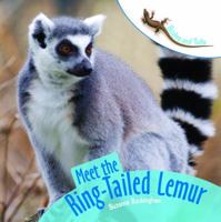Meet the Ring-Tailed Lemur (Scales and Tails) 1404245014 Book Cover