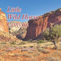 Little Wild Horse Canyon 1503578003 Book Cover