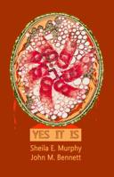 Yes It Is 1938521129 Book Cover