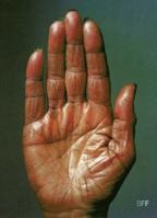 Zeit Blicke. 30 Jahre Fotografie in Deutschland. 3775708634 Book Cover