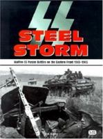 SS Steel Storm : Waffen-SS Panzer Battles on the Eastern Front 1943-1945 0750925884 Book Cover