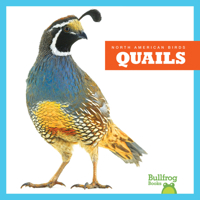 Quails B0CVN13PTJ Book Cover