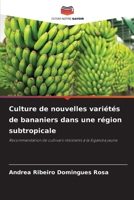 Culture de nouvelles variétés de bananiers dans une région subtropicale (French Edition) 6209478328 Book Cover