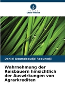 Wahrnehmung der Reisbauern hinsichtlich der Auswirkungen von Agrarkrediten (German Edition) 6209767389 Book Cover