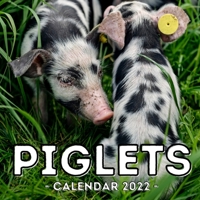 Piglets Calendar 2022: 16-Month Calendar, Cute Gift Idea For Baby Pig Lovers Men & Women null Book Cover