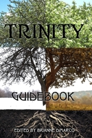 Trinity: Guidebook B08YHZT413 Book Cover