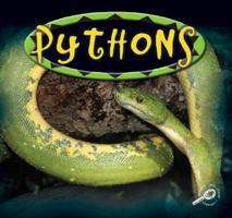 Pythons 1595151486 Book Cover