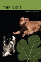 The Visit 1678179752 Book Cover