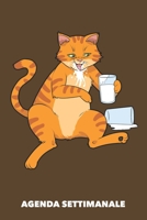 Agenda Settimanale: Una Grande Notte Miao A5 manoscritto floreale - Agenda con Pianificatore Settimanale 52 settimane per Proprietario del Gatto (marrone) (Italian Edition) 1689911662 Book Cover
