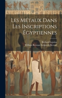 Les Métaux Dans Les Inscriptions Égyptiennes 1022543393 Book Cover