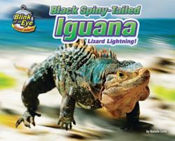 Black Spiny-Tailed Iguana: Lizard Lightning! 193608791X Book Cover