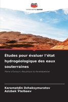 Études pour évaluer l'état hydrogéologique des eaux souterraines 6207149491 Book Cover