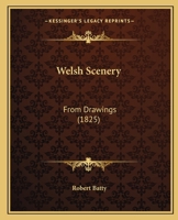 Welsh Scenery: From Drawings 1145357881 Book Cover