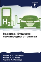 Водород: Будущее неуглеродного топлива 6204120271 Book Cover