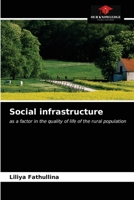 Social infrastructure 6203243175 Book Cover