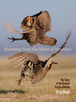 Booming from the Mists of Nowhere: The Story of the Greater Prairie-Chicken 1609383877 Book Cover