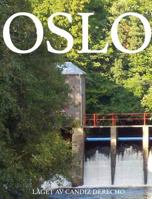 Oslo 1717442501 Book Cover