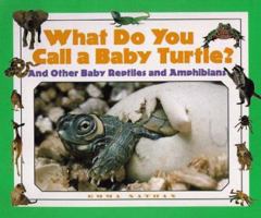 What Do You Call a Baby - Turtle? And Other Baby Reptiles and Amphibians (What Do You Call a Baby) 1567113664 Book Cover