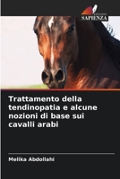 Trattamento della tendinopatia e alcune nozioni di base sui cavalli arabi (Italian Edition) 6207912322 Book Cover