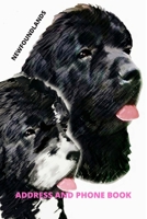 Address and Phone Book: Newfoundland Dog Lover Gift (with discreet password journal section), Organized in Alphabetical Order, Discreet internet page ... month by month birthday/anniversary section. 165327106X Book Cover