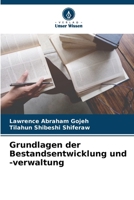 Grundlagen der Bestandsentwicklung und -verwaltung (German Edition) 6208518253 Book Cover