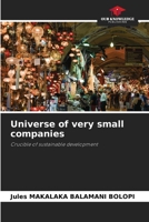 Universe of very small companies 6204123858 Book Cover