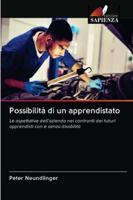 Possibilità di un apprendistato: Le aspettative dell'azienda nei confronti dei futuri apprendisti con e senza disabilità 6200996091 Book Cover