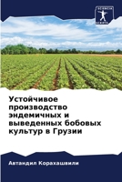 Устойчивое производств&# 6205719797 Book Cover