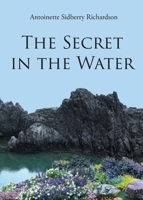 The Secret in the Water B0CGGDZKH7 Book Cover