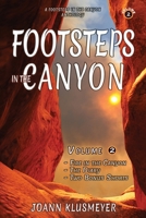 Fire in the Canyon and the Diary: A Footsteps in the Canyon Anthology 1613146698 Book Cover