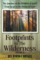 Footprints in the Wilderness (Volume 3): The Journey of the Children of Israel From Egypt to the Promised Land B0F647543V Book Cover