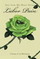 Labor Pain 1098098587 Book Cover
