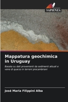 Mappatura geochimica in Uruguay (Italian Edition) 6208633877 Book Cover