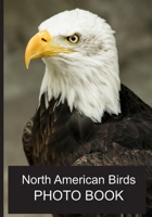 North American Birds Photo Book: 40 Different Bird Photos With Identification Names For Alzheimer & Dementia Patients To Help With Memories and Memory Loss B09TJNSGW4 Book Cover