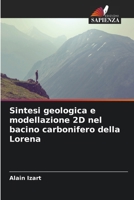 Sintesi geologica e modellazione 2D nel bacino carbonifero della Lorena (Italian Edition) 6206906612 Book Cover